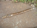 Image of a hand made oak gem wand