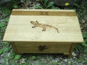 Animal Totem Shaman Naturalist Witches Altar with Drawer