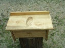 Athena's Owl and Timber Wolf Shaman Altar with Drawer