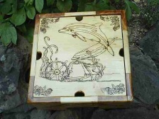Dolphins Fantasy Box